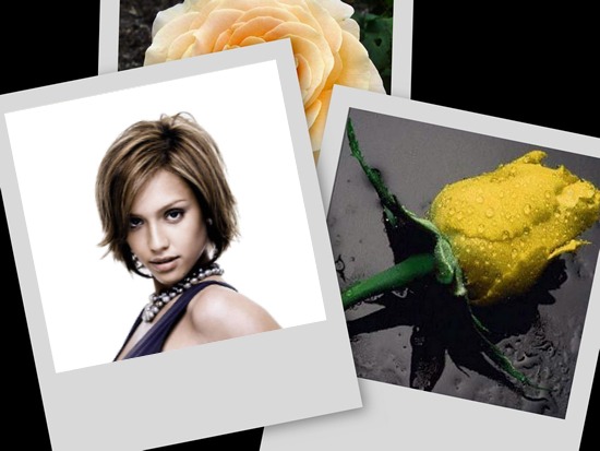 Polaroid-Blumen Fotomontage