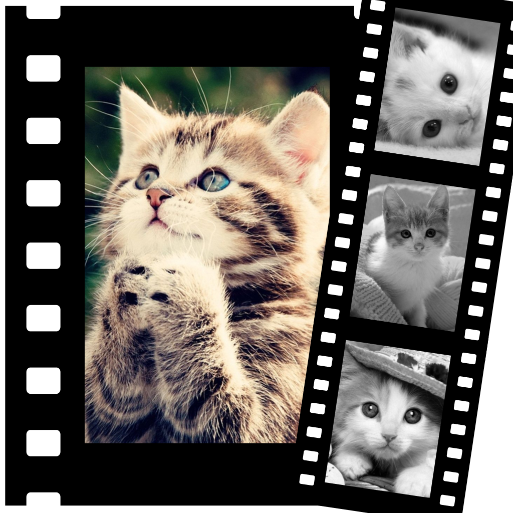 Movies video 4 pictures Photo frame effect