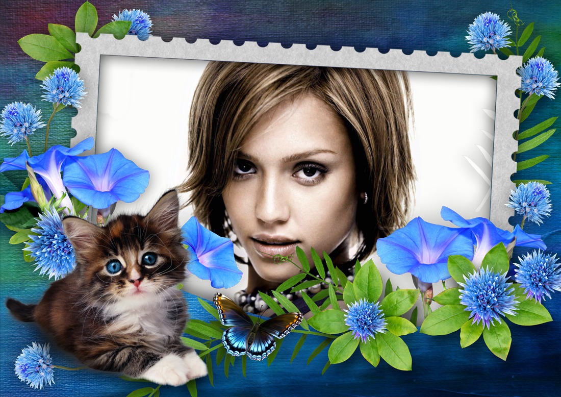 Kaķis ar tauriņu ziedos Fotomontāža