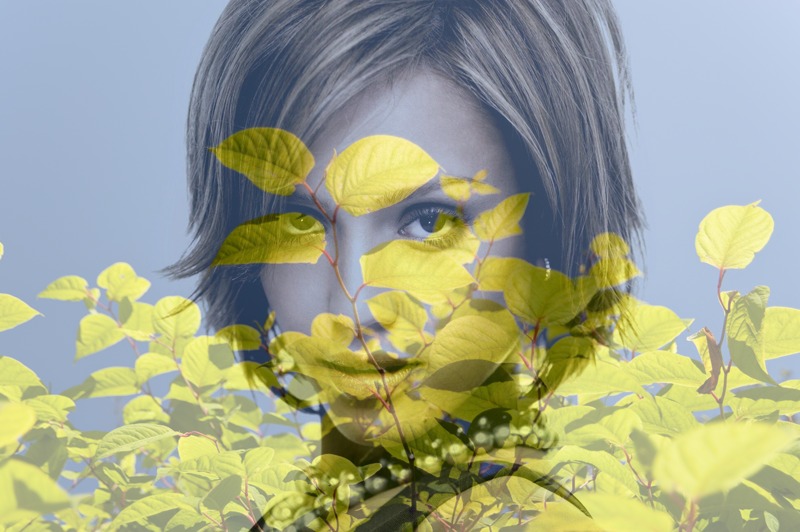 Verblassen zu grünen Blättern Fotomontage