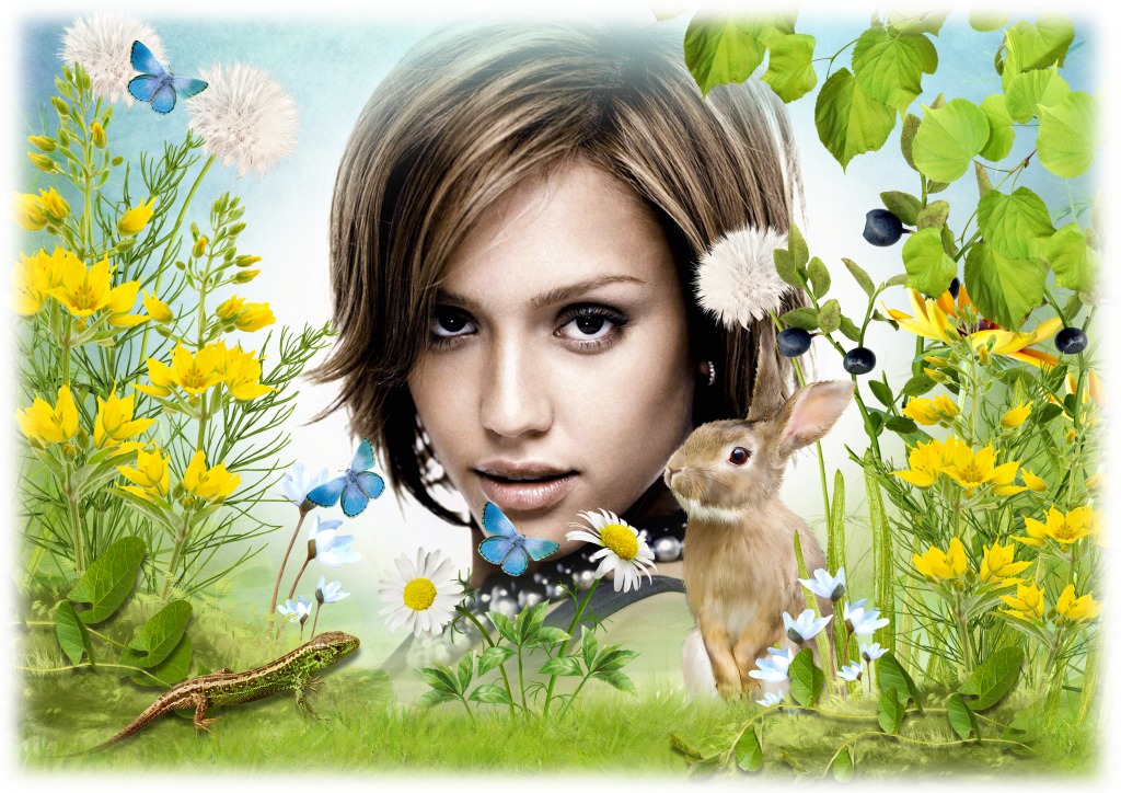 Kanin och fjärilar i naturen Fotomontage
