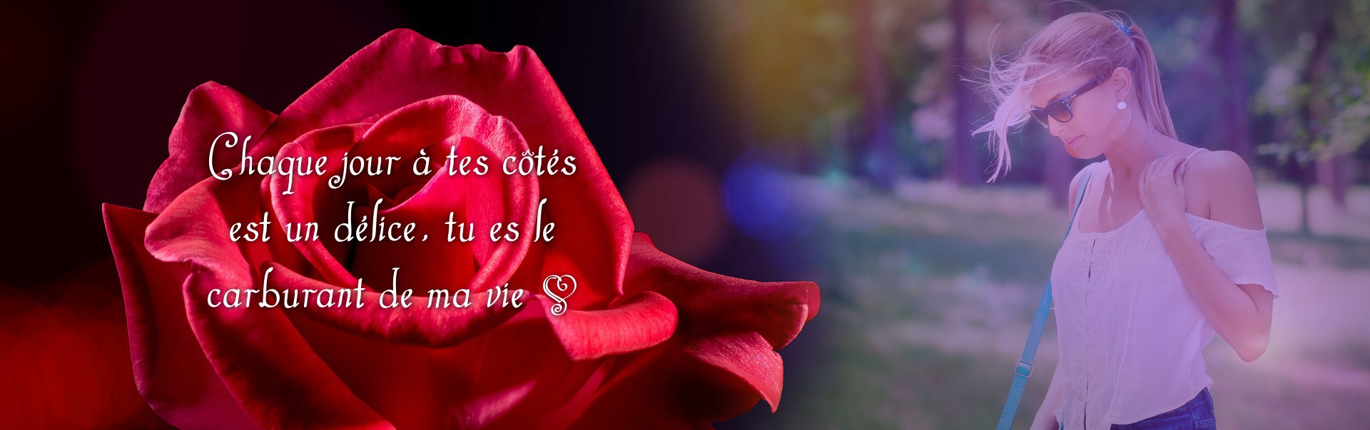 Cvijet crvene ruže sa tekstom i fotografijom Fotomontaža