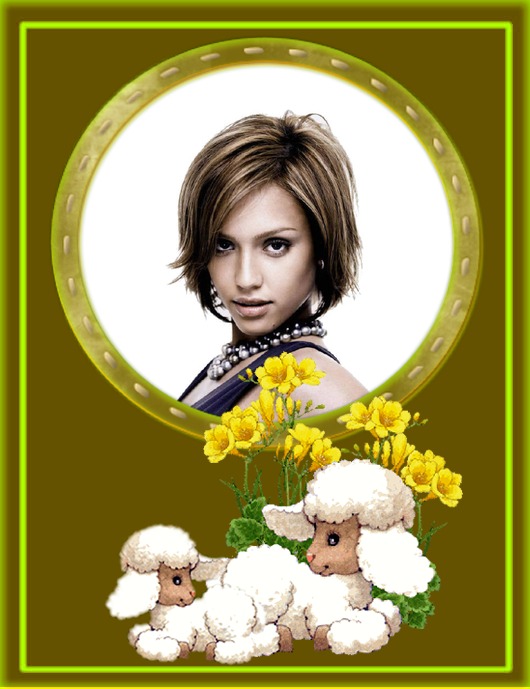 Schafe gelbe Blumen Fotomontage