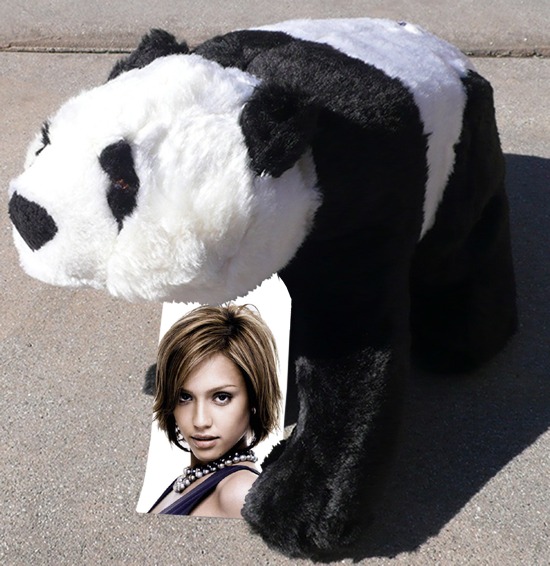 Opgezette panda Fotomontage