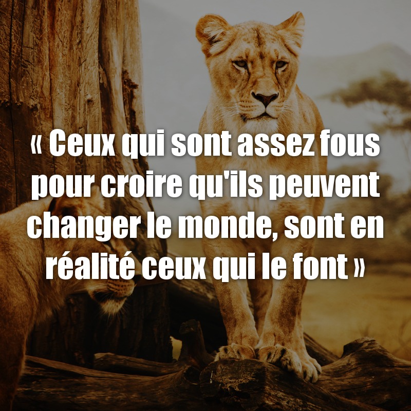 Text on lions Photo frame effect