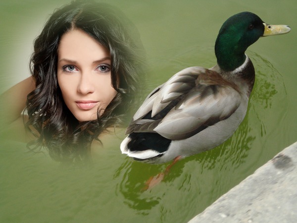 Bebek dalam air Photomontage