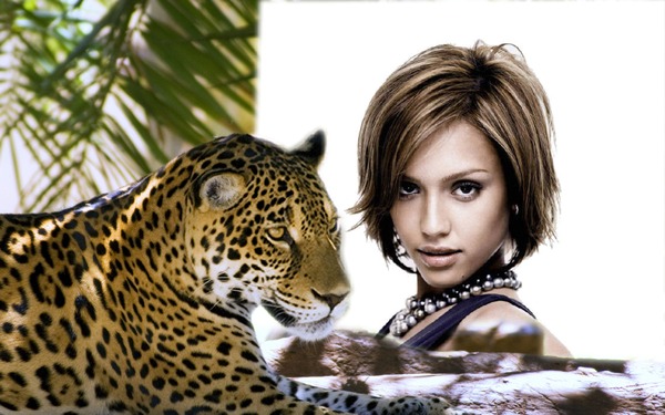 Pantera leopardata Fotomontaggio