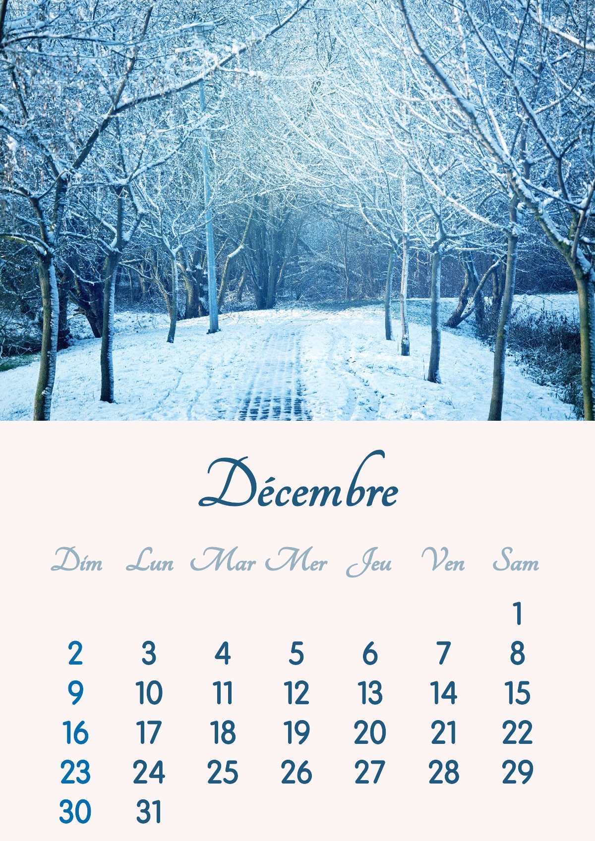 2018 m. gruodžio mėnesio kalendorius spausdinamas A4 formatu Fotomontažas