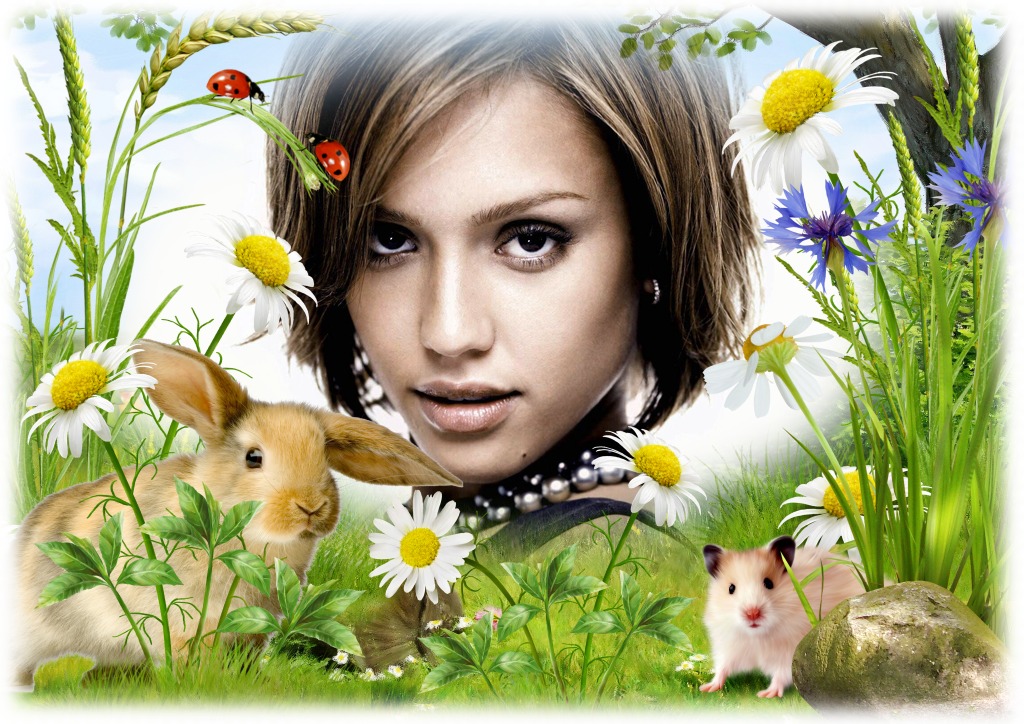 Kaninchen und Marienkäfer in der Natur Fotomontage