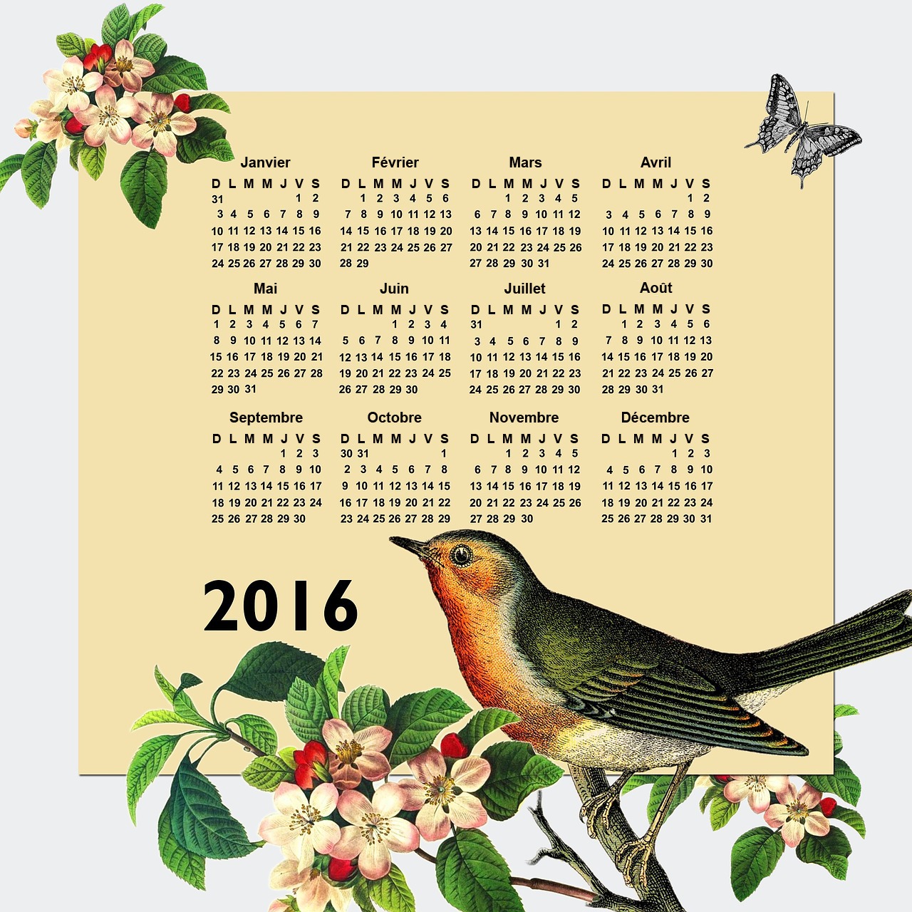 Naptár 2016 természet madár és pillangó Fotómontázs