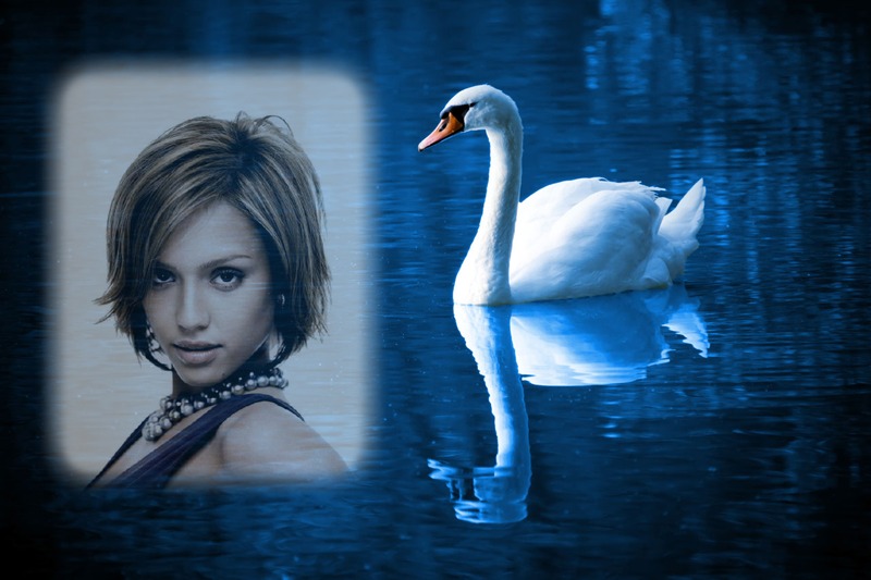 Swan Fotomontáž