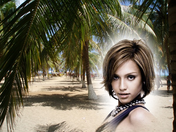 Palmboom strand Fotomontage