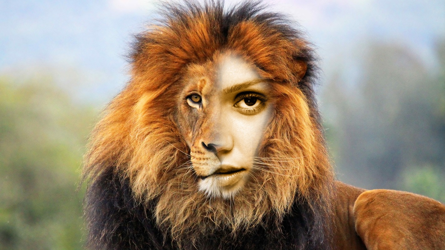 Kasvot leijonassa Valokuvamontaasi