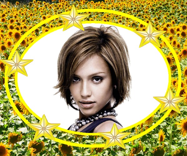 Bidang bunga matahari Photomontage