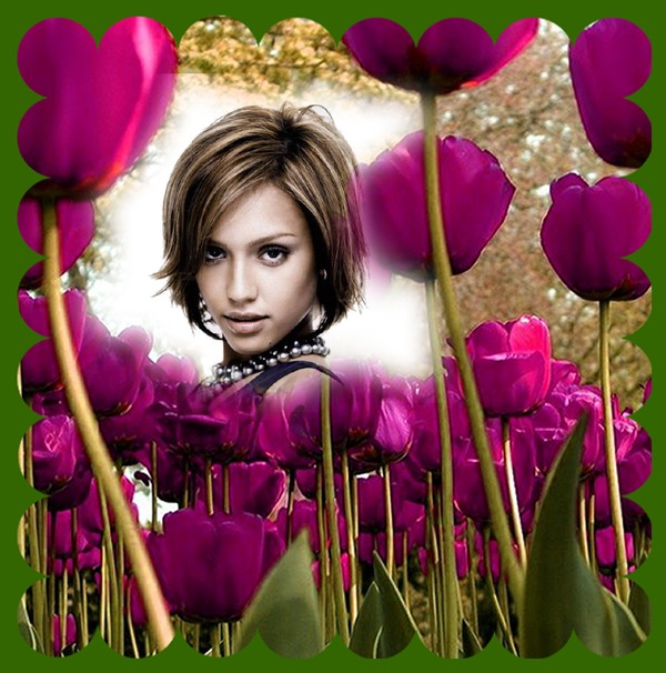 Lyserøde tulipaner Fotomontage