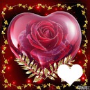 Rose de coeur