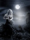 #gothic; #new #moon; crow;