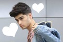 Zayn Love