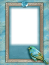 cadre bleu oiseau