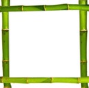 cadre bambou
