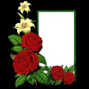marco verde y rosas rojas, fondo negro.
