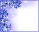 Cadre - fleurs bleues