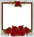 marco y rosas rojas1.