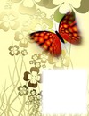 Papillon-trèfles à 4 feuilles