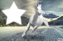 cheval blanc de neige