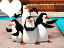 les pinguins de madagascar