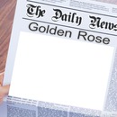 Golden Rose Daily News