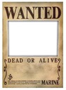 wanted