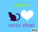 I ♥ mon chat