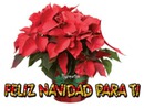 FELIZ NAVIDAD