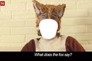 what the fox say
