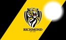 richmond tigers afl