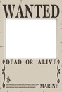 New Wanted