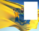 New Jersey flag