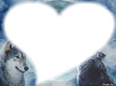 amour pour les loups