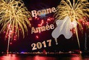 Bonne année 2017