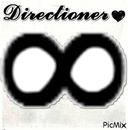 Directioner