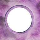 cercle violet