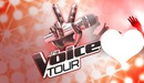the voice tour
