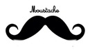 moustache !!
