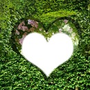 coeur au jardin