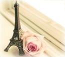 Paris avec rose
