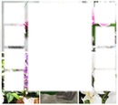 cadre 9 photos orchidées