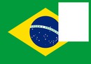 Brazil flag 1