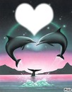 un amour de dauphin