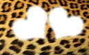 Leopard <3